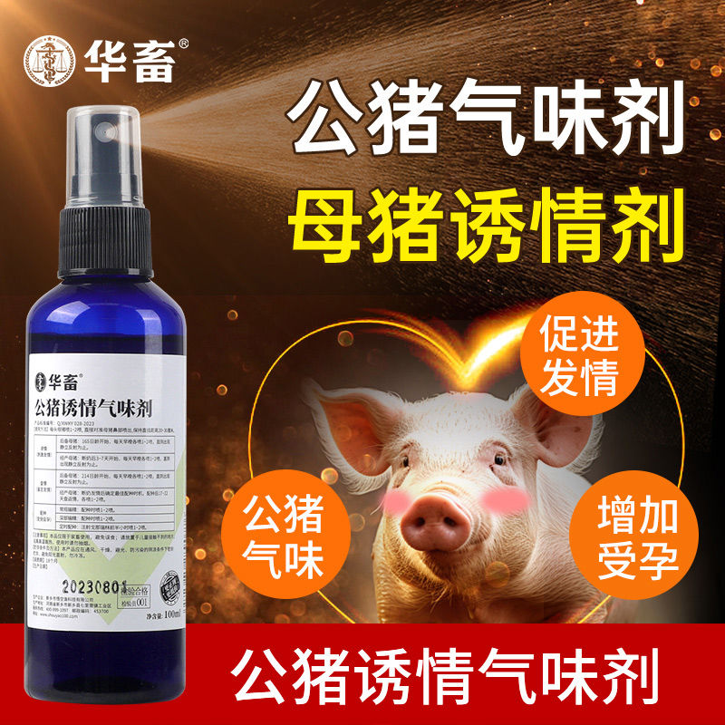 华畜公猪气味剂母猪专用诱情剂