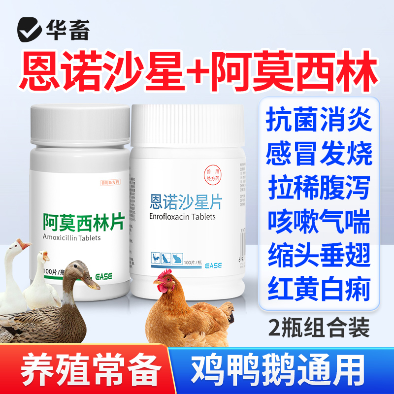 华畜兽用恩诺沙星片鸡药鸡鸭鹅咳嗽拉稀消炎呼吸道支原体感染兽药