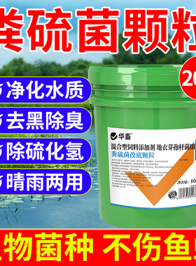 华畜粪硫菌改底颗粒水产养殖地衣芽孢杆菌鱼塘底改王生物改底颗粒