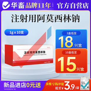 华畜兽药阿莫西林钠兽用注射液猪牛羊感冒咳嗽胸膜肺炎拉稀消炎药