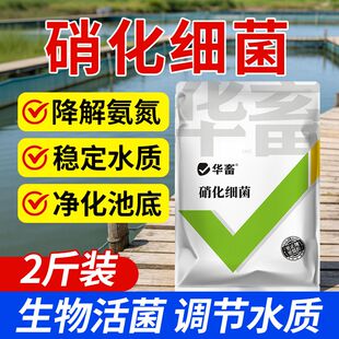 华畜硝化细菌水产养殖鱼池用活菌菌种鱼塘净水剂池塘变清净化水质