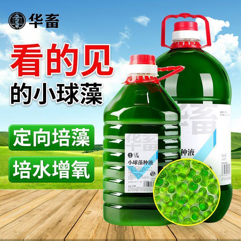 华畜小球藻藻种水产用浓缩原液鱼虾蟹塘肥水培藻增氧水产养殖专用