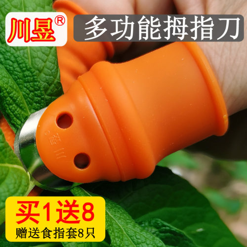 川昱摘菜拇指刀花椒神器不锈钢农用剥豆采L茶叶水果蔬防护手指甲