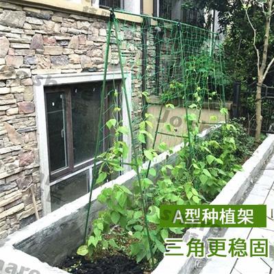 枝晓 种菜支架 家庭园艺包塑钢管花支柱爬藤架带网瓜果蔓生植物