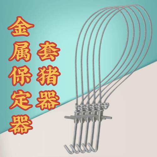 套猪器钢丝绳抓猪器保定器打针兽用器械宠物养殖场猪场设备塑料把