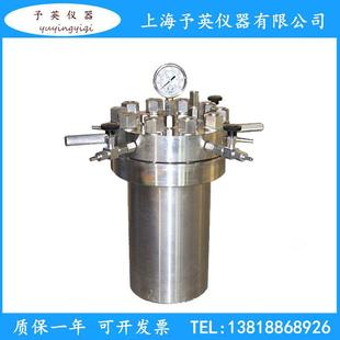 1L10L实验室微型反应釜四氟 不锈钢高温高压简易反应釜CF
