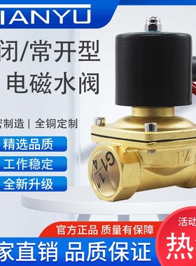 电磁阀水阀AC220V常闭常开防水电磁控制水管开关阀DC24V 4分1寸管