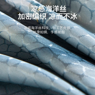 厂家超凉感夏天冰丝凉席子凉感乙纶床单床盖床裙可机洗软席子2025