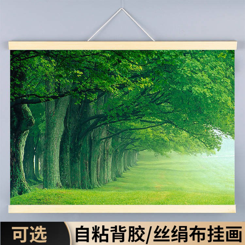 树林树木装饰画挂画大树绿色护眼墙贴图森林护眼客厅床头风景海报图片