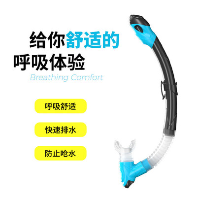 迈斯特成人潜水镜浮潜水镜面罩呼吸面罩全干式呼吸管浮潜泳镜2113