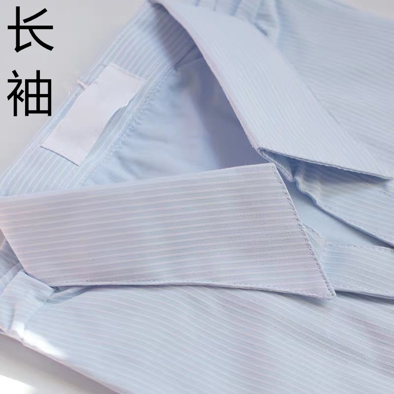 现货硬领浅蓝衬衫女长袖高棉品质修身竖条纹衬衣职业装工作服通勤