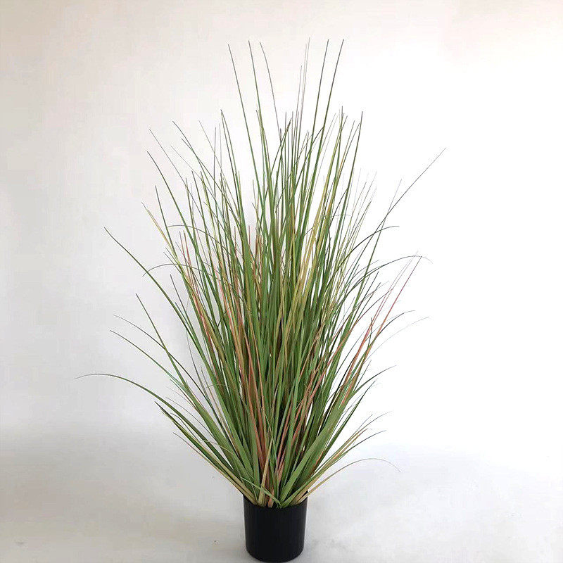 北欧风格仿真芦多仿真0.9米洋葱草仿真狗尾草批发苇草规格植物,鲜花速递/花卉仿真/绿植园艺,仿真绿植,淘宝优惠券,粉丝福利购,淘宝优惠卷