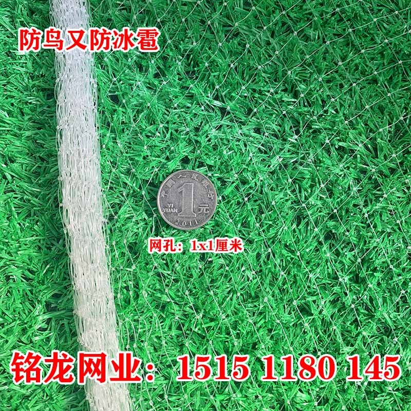 葡萄果园防鸟网防雹网果树樱桃蓝莓防鸟用网尼龙1厘米网孔小网眼