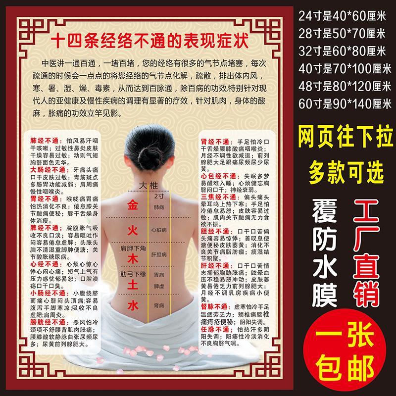 中医养生图片美容院海报宣传画广告针灸艾灸人体经络穴位图大挂图