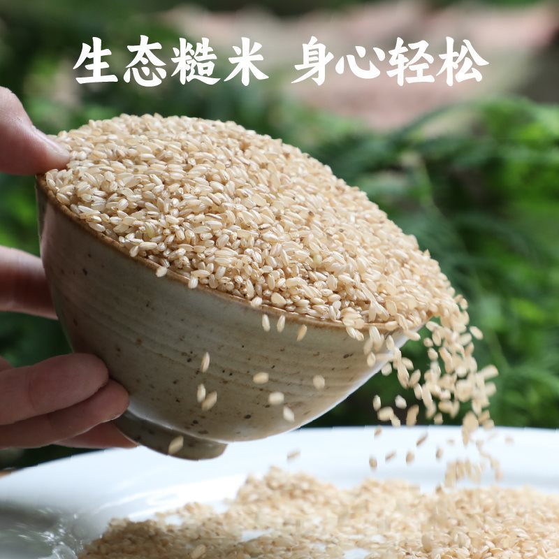 速发香畴生态糙米饭可发杂粮东北稻花香粗粮芽1kg孕妇健身谦益农