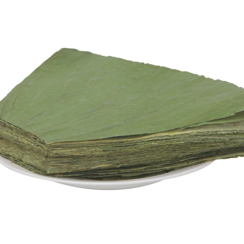 新货微山湖扇形荷餐饮专用方形荷叶糯米鸡糯米饭包粽子荷叶茶新干
