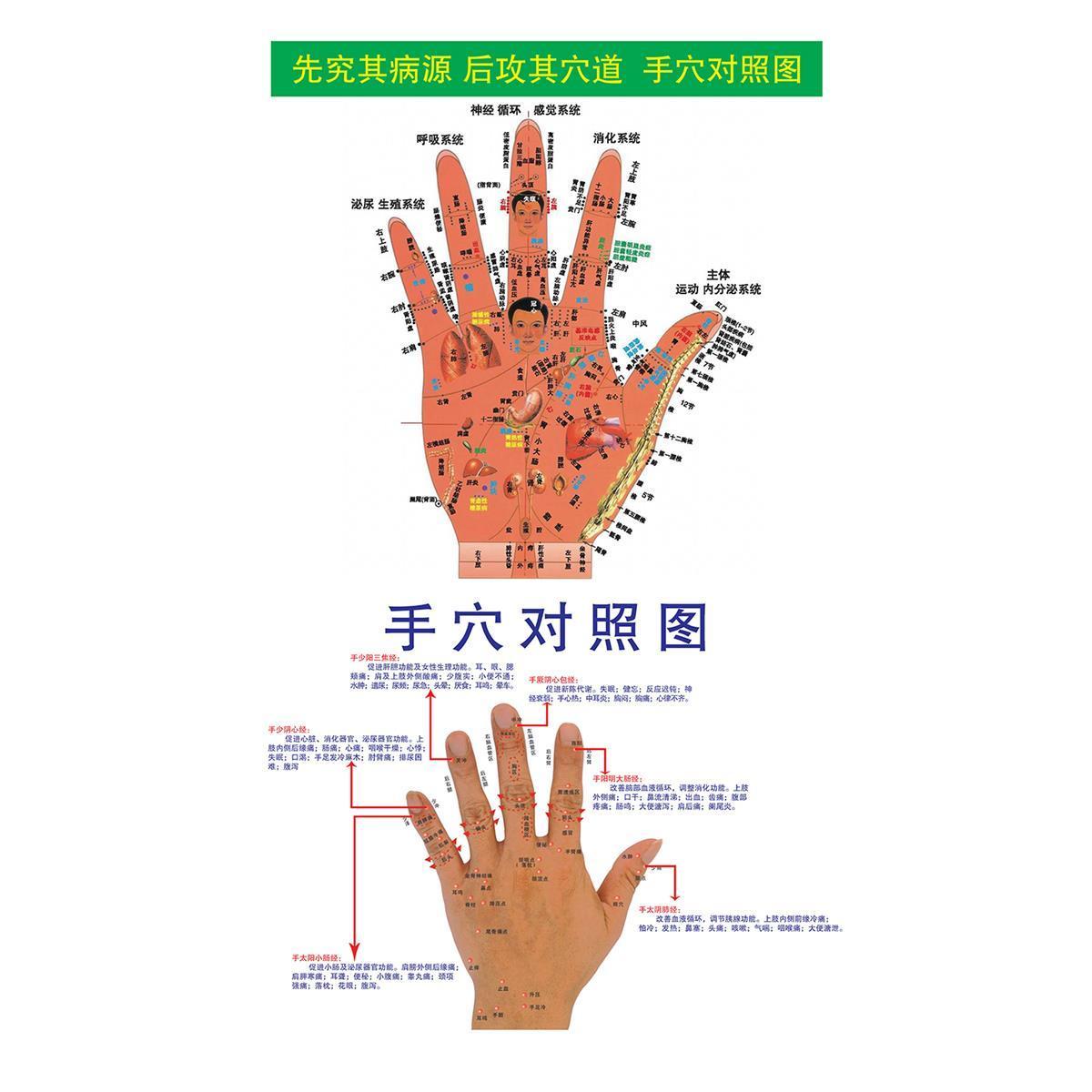 大汉灸手穴按摩图海报展板手穴对照图手掌手背手相图墙贴墙纸KT板