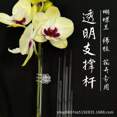 透明亚克力隐形园艺支撑杆支撑架蝴蝶兰龟背竹秋海棠海芋兰花支架