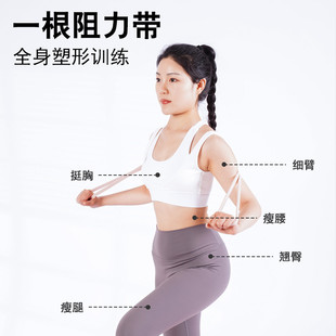 珀木 弹力带健身男女拉力绳拉力带阻力带力量训练拉伸弹力绳