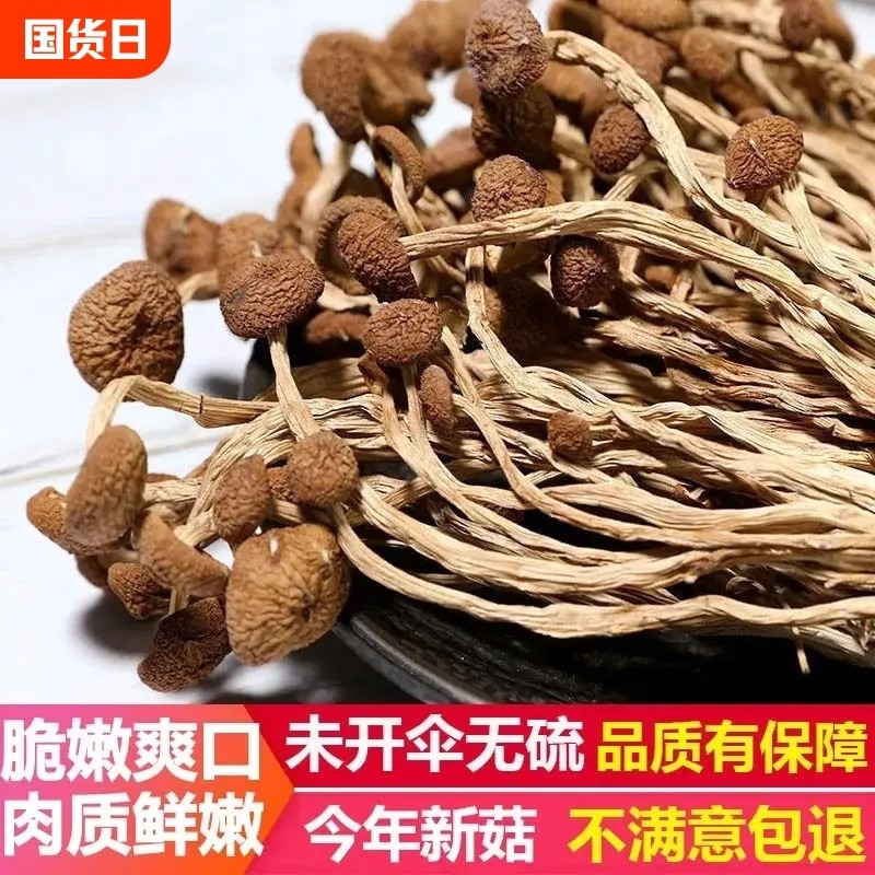 速发茶树菇干货农家古田500g特产新鲜香菇蘑菇金针菇精品煲汤菌菇