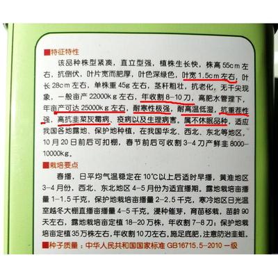冬季不休眠雪韭根791宽叶韭菜种籽四季盆栽种子蔬菜籽大韭菜根苗
