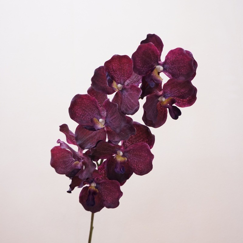高品质仿真花手感万代兰婚庆家居装饰花软装插花胡姬兰胸花手捧花