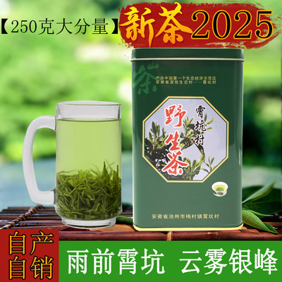 新日期2025新茶安徽池州肖坑霄坑茶叶野生茶绿茶高山雨前一级250g