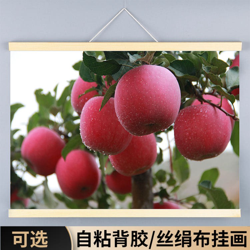 苹果装饰画平平安安海报水果餐厅饭馆墙贴挂画自粘墙壁秋实大果树图片