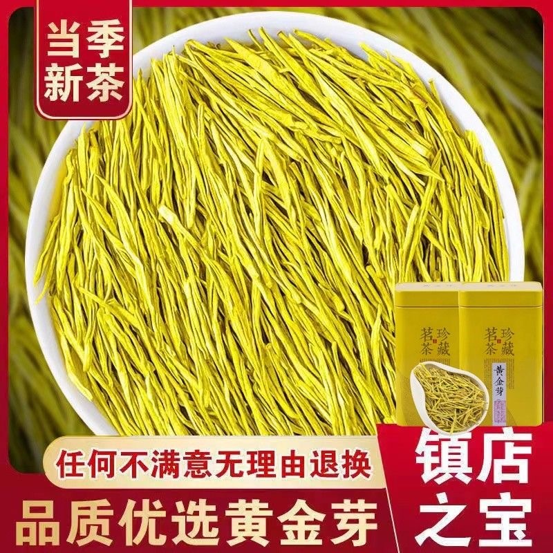 新日期【一斤罐装】正宗黄金芽茶叶2025新茶春茶白茶绿茶不是安吉