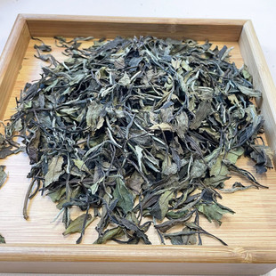 新日期2022年19白茶特级白牡丹政和白茶高山谷雨花香白牡丹一级福