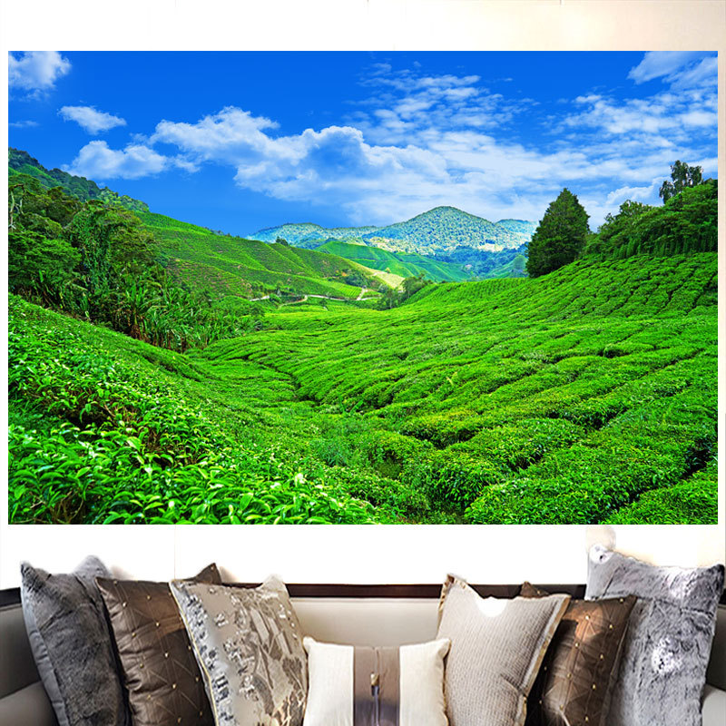 茶景茶山茶园茶树茶叶自然风景画蓝天田园画背景墙海报自粘装饰画图片