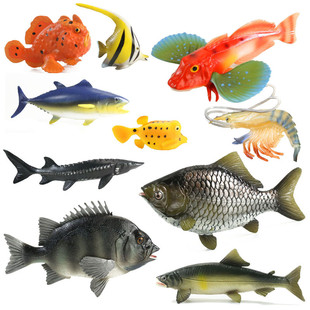 儿童仿真海洋虾绿鳍鲫鲤鳄雀鳝中华鲟神仙大马哈金枪鱼类玩具模型