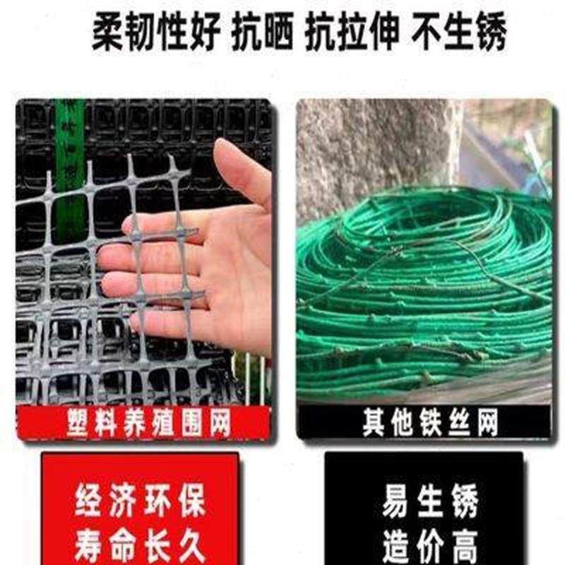 塑料网格防护养殖拦鸡鸭家用菜园玉米护栏果园栅栏户外养鸡围栏网,五金/工具,护栏/隔离栏,淘宝优惠券,粉丝福利购,淘宝优惠卷
