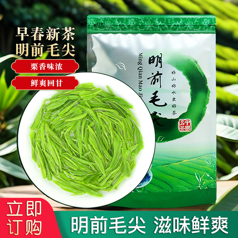 新日期【一斤500g】明前毛尖绿茶2025新茶浓香型茶叶散装正宗高山