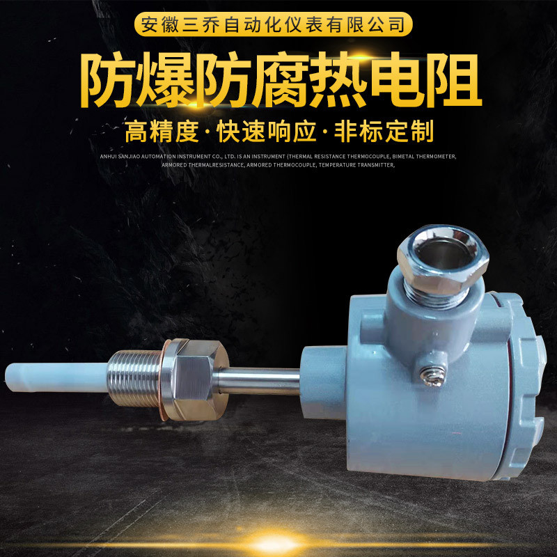 忖四氟防爆防腐热电阻WZPF-240分度号PT100可非标加工生产
