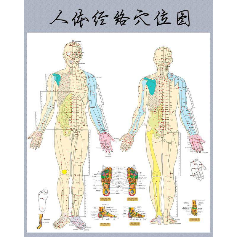 艾灸针灸人体经络穴位图大挂图足部全身中医身体养生保健按摩海报
