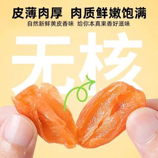 海儋老盐黄皮干无核海南儋州特产蜜饯咸甜可泡茶休闲风小零食罐装