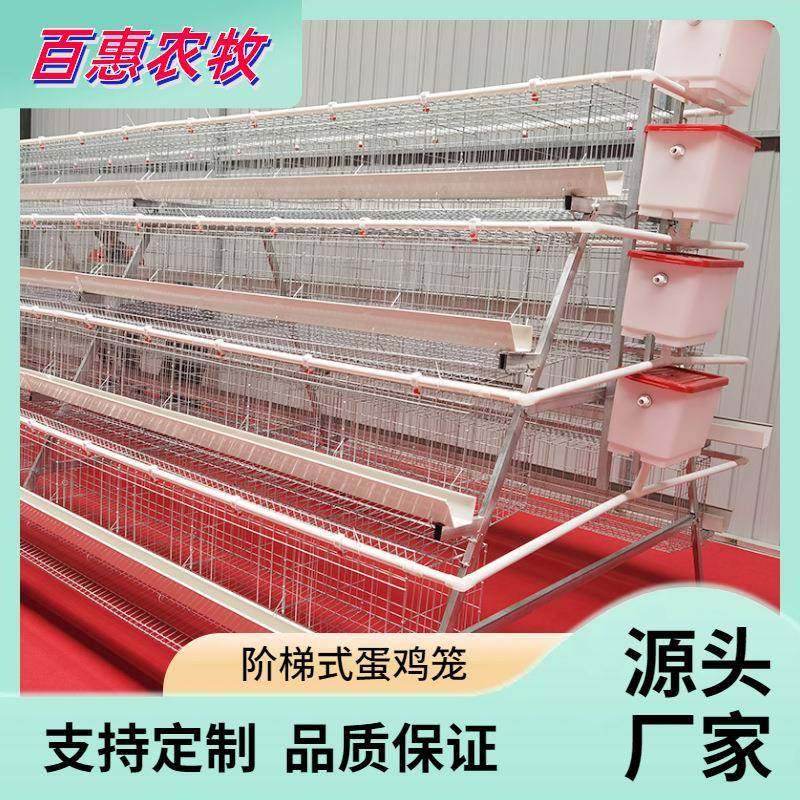 热镀锌多层阶梯式笼养鸡设备养殖场用层叠式四层四门蛋鸡笼设备