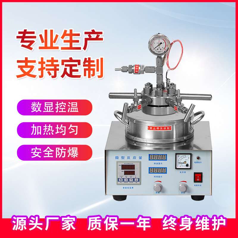 TGYF-50ml 100ml实验室小型高压反应釜 加氢不锈钢高压反应釜