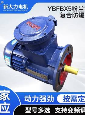 YBFBX5粉尘气体复合防爆电机卧式立式防爆电机CT5国标电机新大力