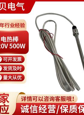 220V500W不锈钢电加热管单头电加热管翅片干烧加热棒