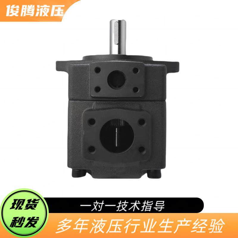 性价比高定量叶片泵液压油泵p2r1-4/6/8/10/12/14/17/19/23叶片泵