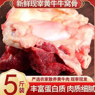 内蒙古牛窝骨新鲜多筋多肉牛膝盖骨散养黄牛牛肉新鲜红烧大骨头