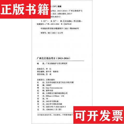 【正版现货】广西左江花山考古广西文物保护与考古研究所文物出版社