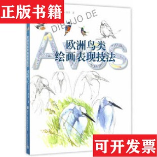 正版 胡安.巴雷拉.西莫著；李振鹏译；张金辉校浙江人民美术出版 现货 西 社 欧洲绘画技法丛书：欧洲鸟类绘画表现技法