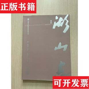 【正版现货】湖山志 第四辑许江高世名中国美术学院出版