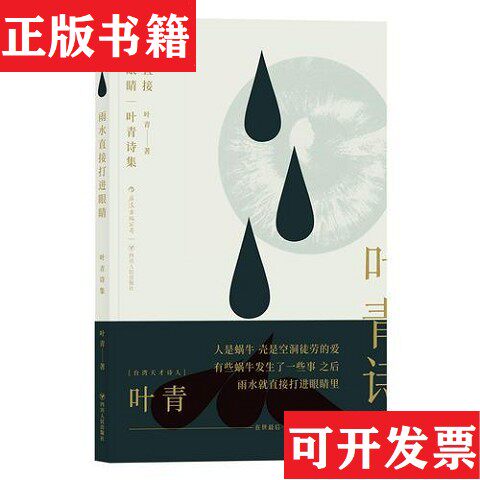 【正版现货】雨水直接打进眼睛：叶青诗集叶青四川人民出版社