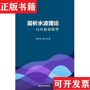 正版 段文洋著清华大学出版 现货 GN波浪模型赵彬彬 社 层析水波理论