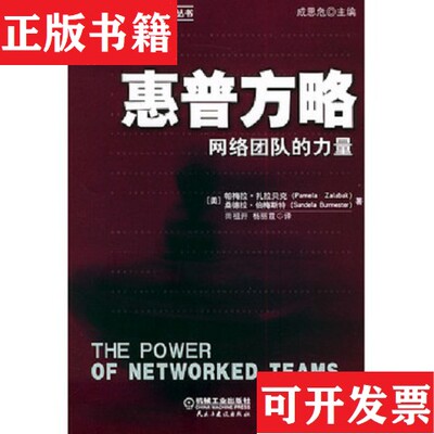 【正版现货】惠普方略：网络团队的力量[美]帕梅拉·扎拉贝克、桑德拉·伯梅斯特（SandelaBurmester）著；田祖开译机械工业出版社
