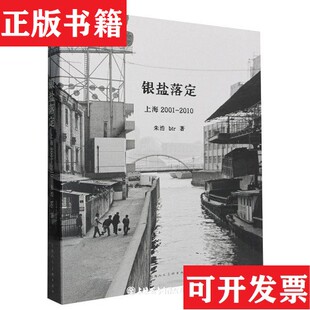 【正版现货】银盐落定朱浩//btr上海人民美术出版社